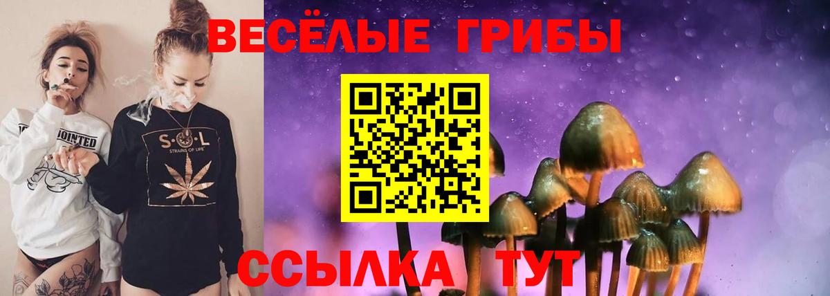 Псилоцибиновые грибы ЛСД  Вход с VPN  Истра 